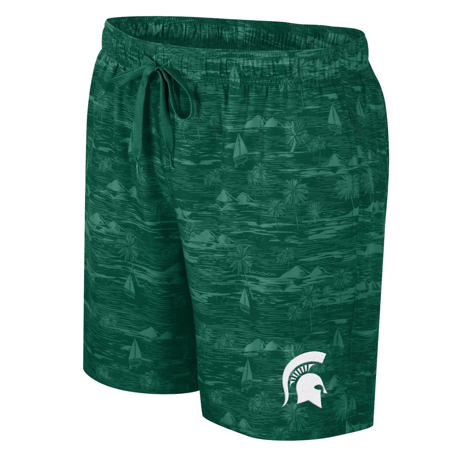 Colosseum Michigan State Spartans Ozark Swim Shorts - view number 2