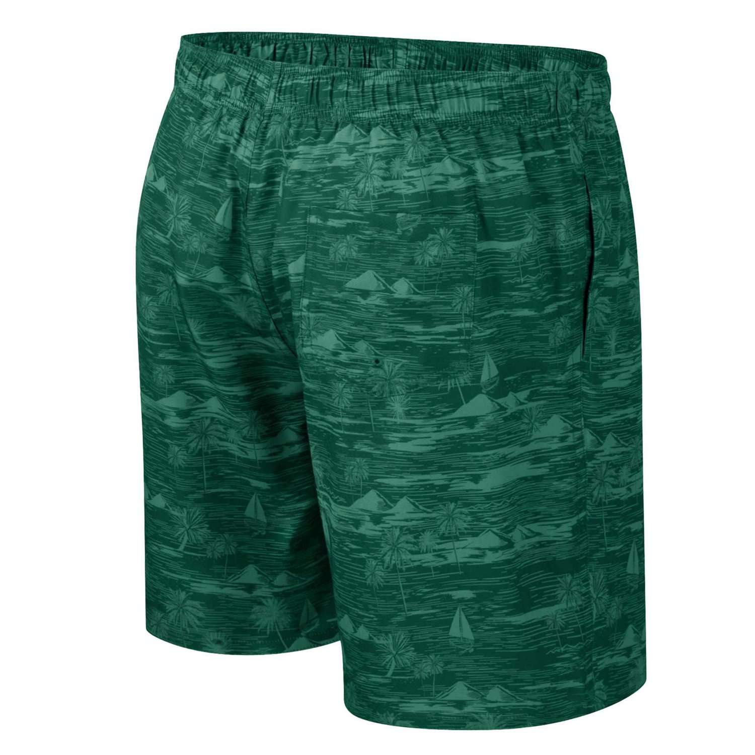 Colosseum Michigan State Spartans Ozark Swim Shorts - view number 3