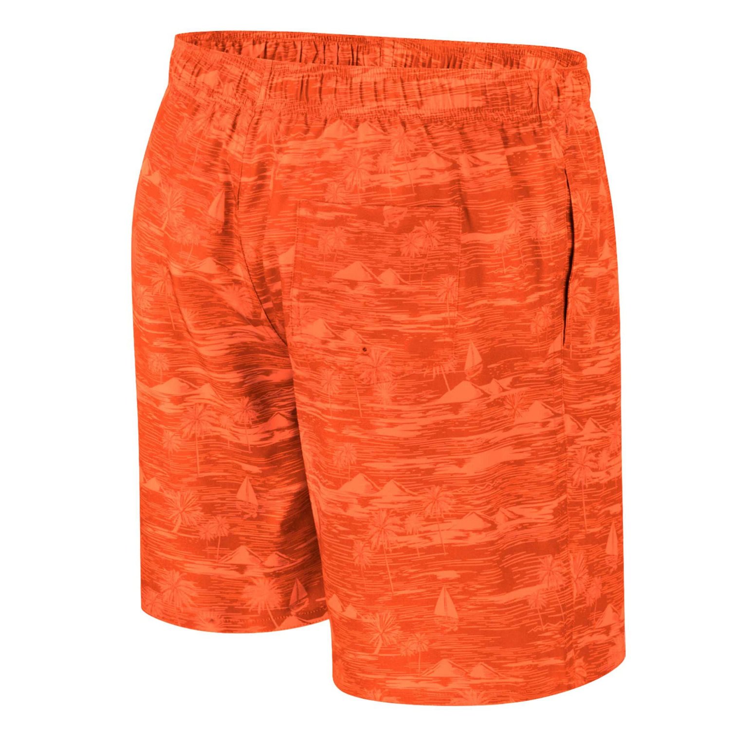 Colosseum Syracuse Ozark Swim Shorts                                                                                             - view number 3