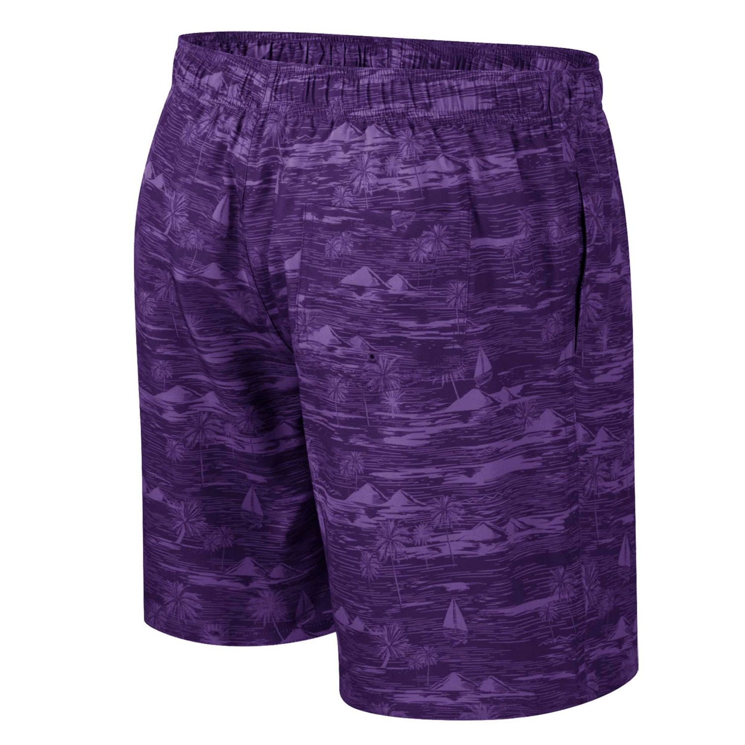Colosseum TCU Horned Frogs Ozark Swim Shorts - view number 3