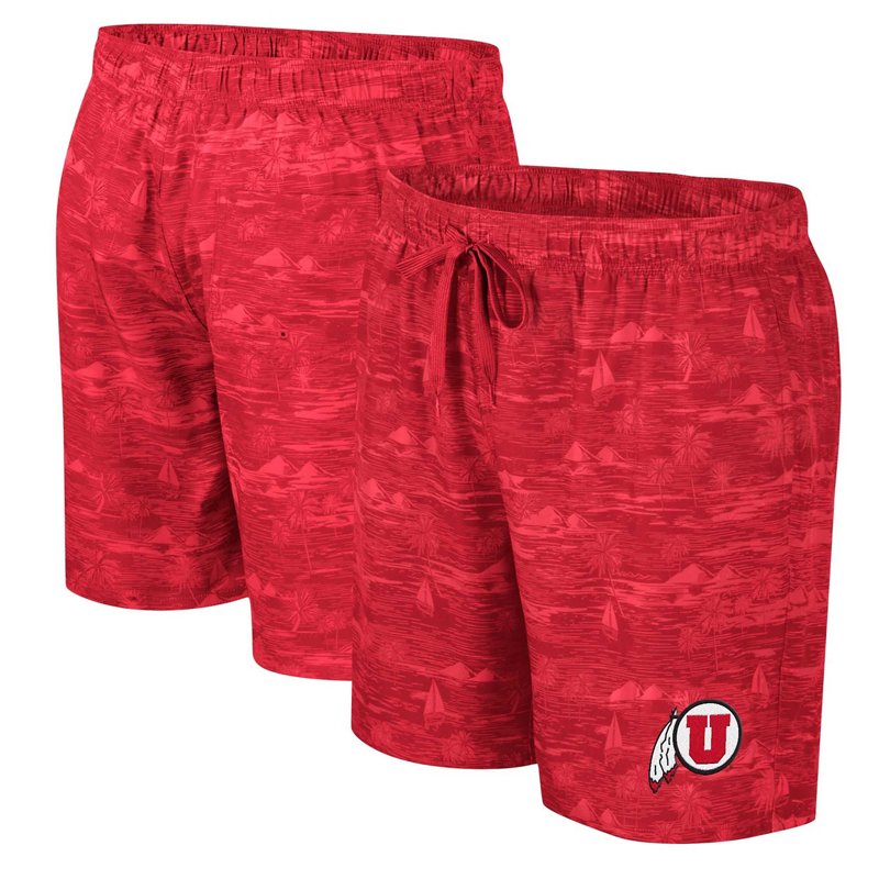 Colosseum Utah Utes… - image