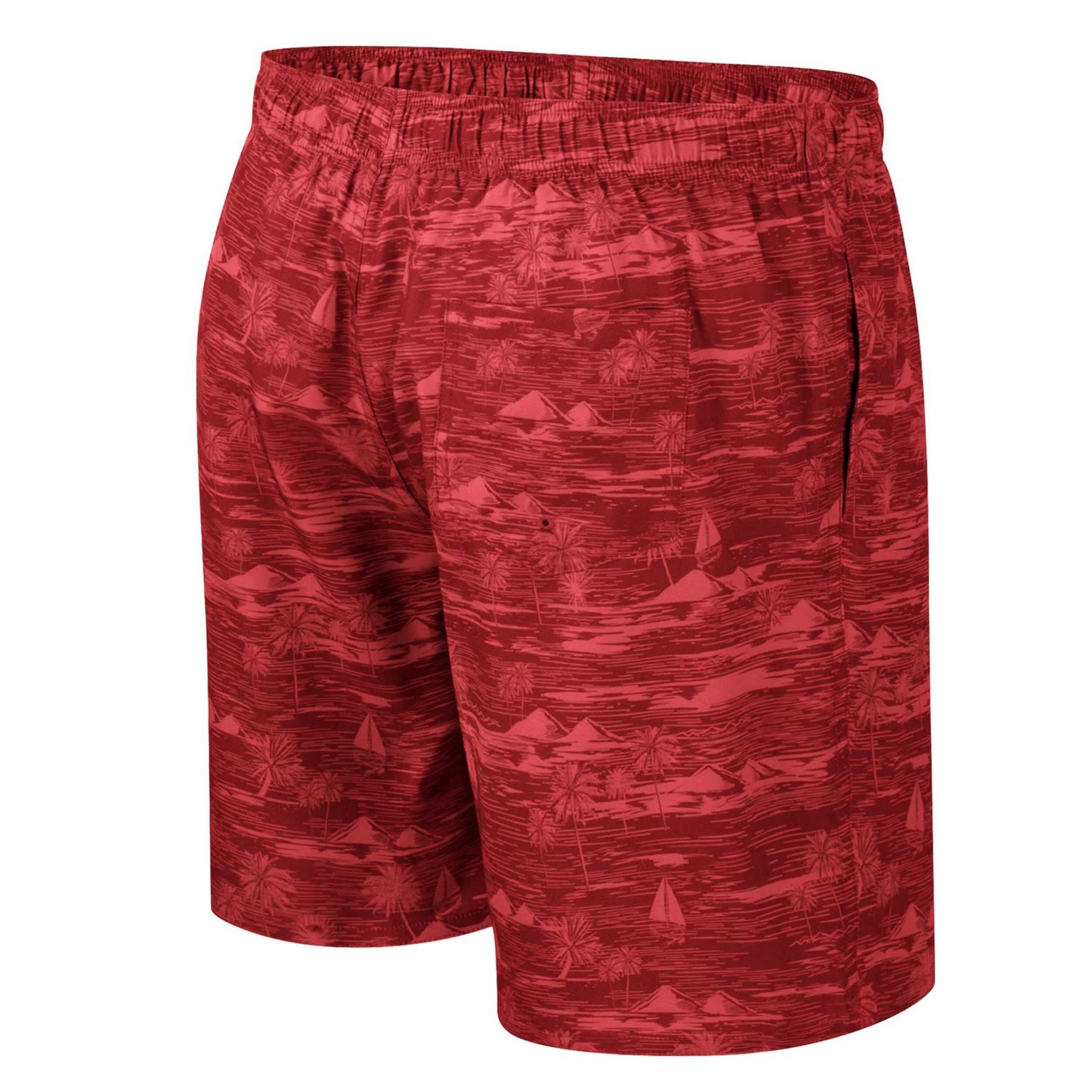 Colosseum Washington State Cougars Ozark Swim Shorts - view number 3