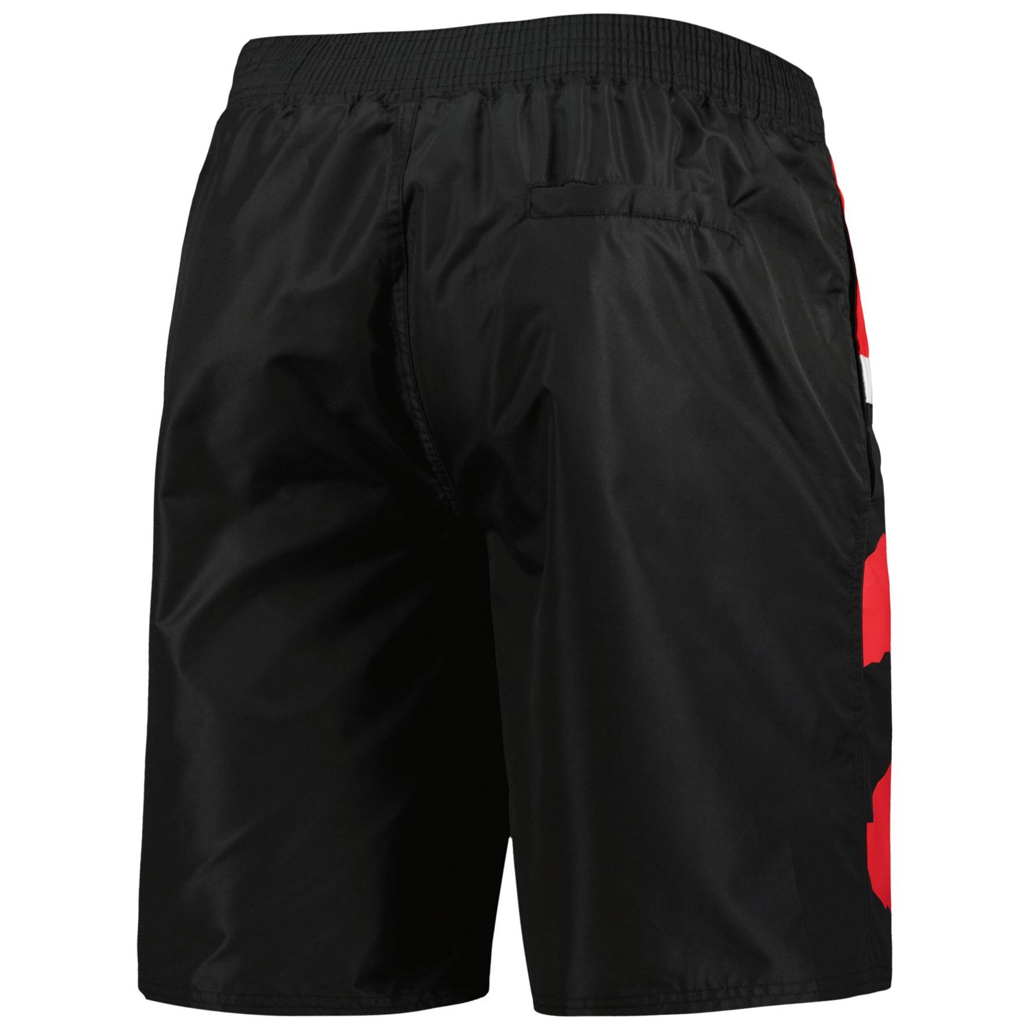 G-III Sports by Carl Banks Toronto Raptors Sea Wind Swim Trunks - view number 3