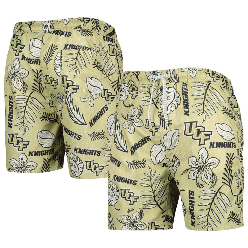 Wes Willy Ucf Knigh… - image