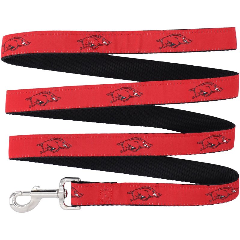 Arkansas Razorbacks… - image