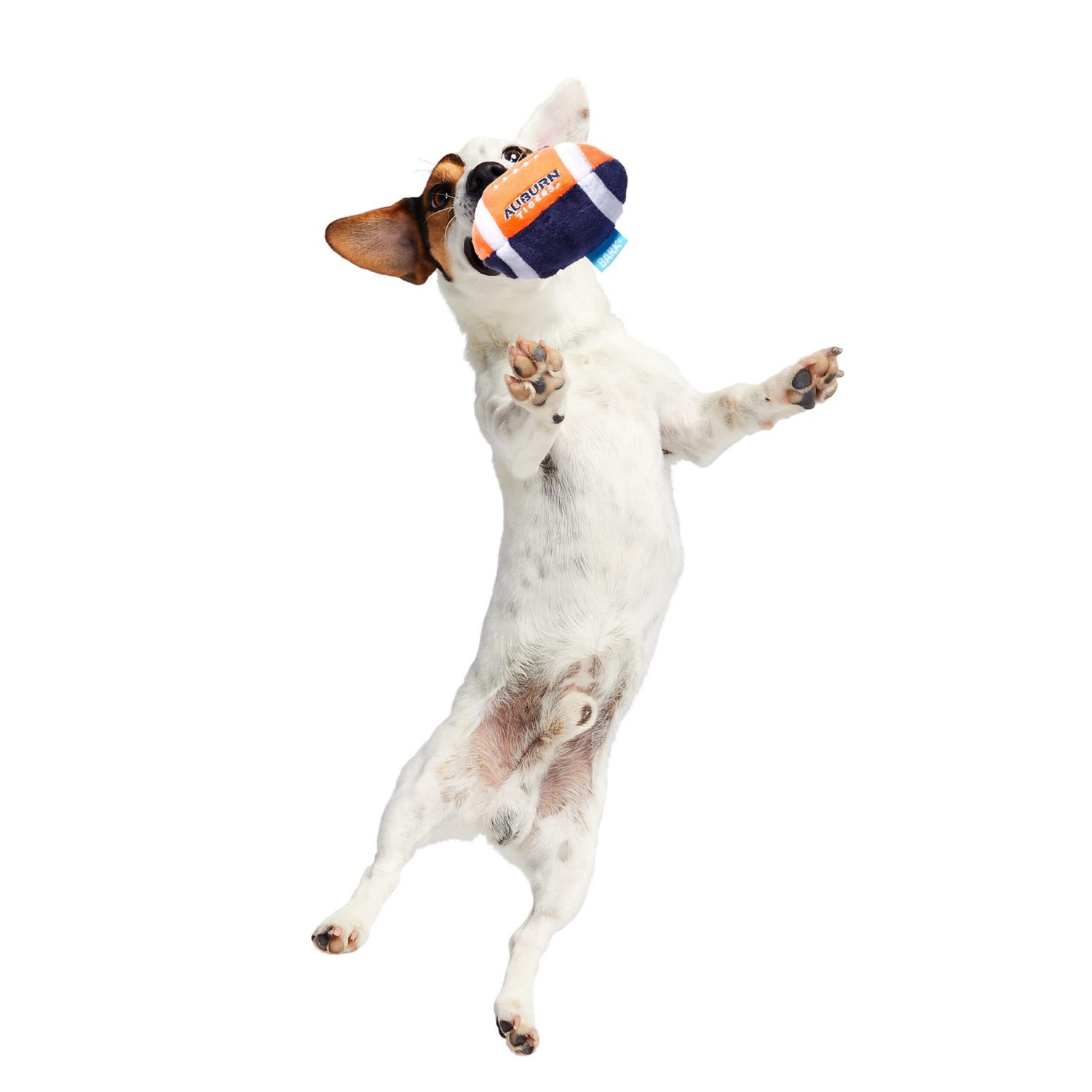 BARK Auburn Tigers Fetchin Small Football Dog Toy Hamilton Place