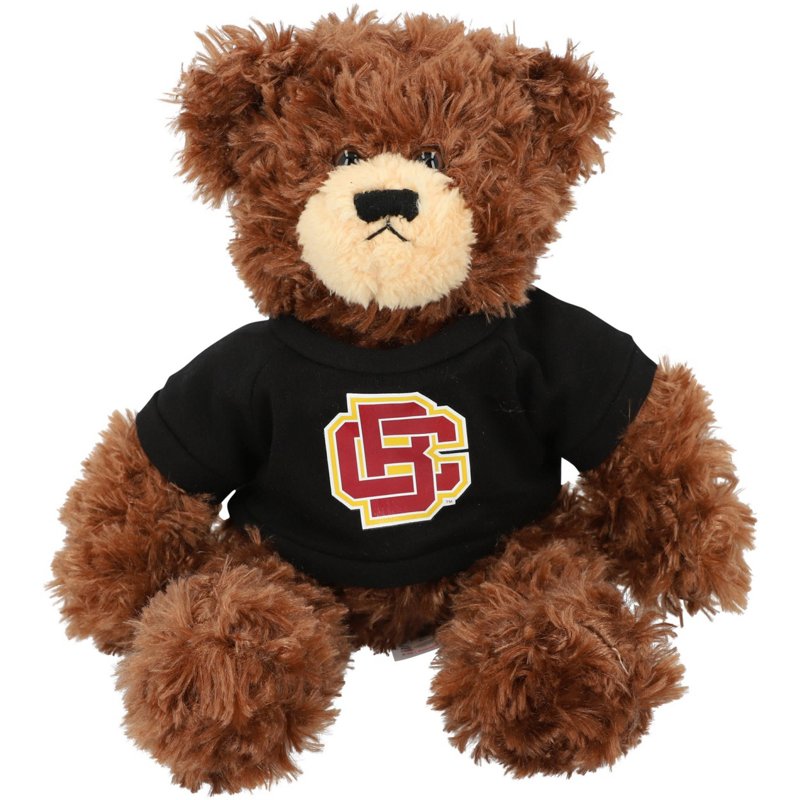Bethune-Cookman Wil… - image