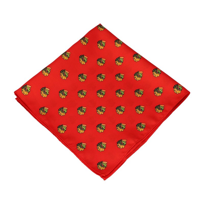 Chicago Blackhawks … - image