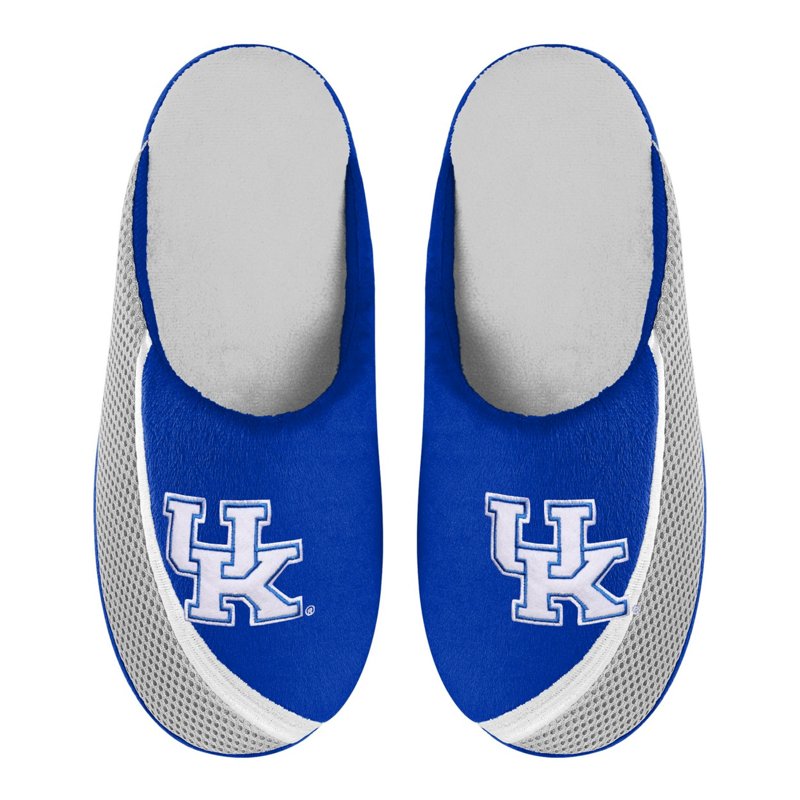 Foco Kentucky Wildc… - image