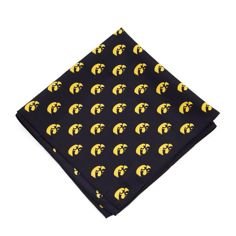 Iowa Hawkeyes Kerch… - image