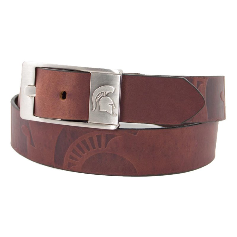 Michigan State Spar… - image
