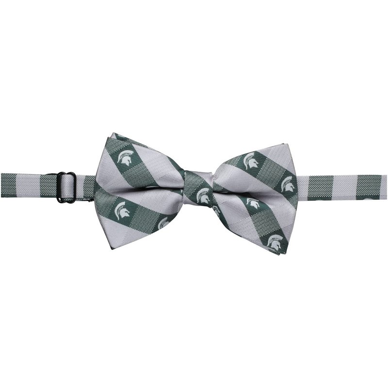 Michigan State Spar… - image