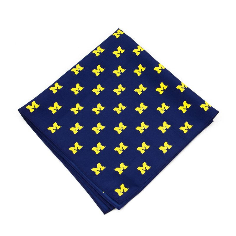 Michigan Wolverines… - image