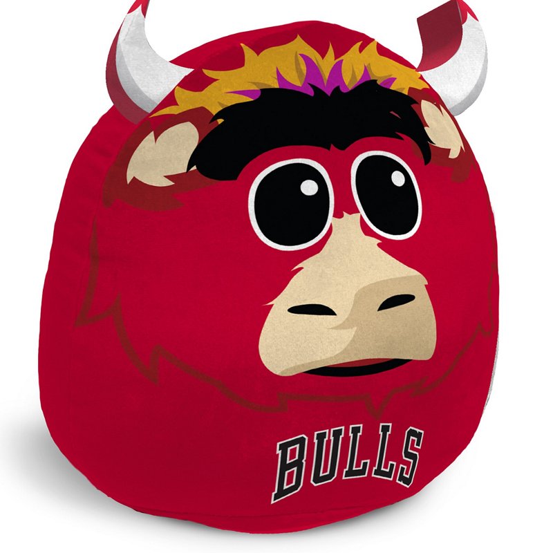 Pegasus Chicago Bul… - image