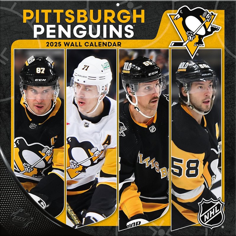 Pittsburgh Penguins… - image