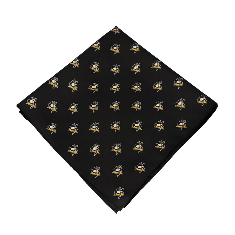 Pittsburgh Penguins… - image
