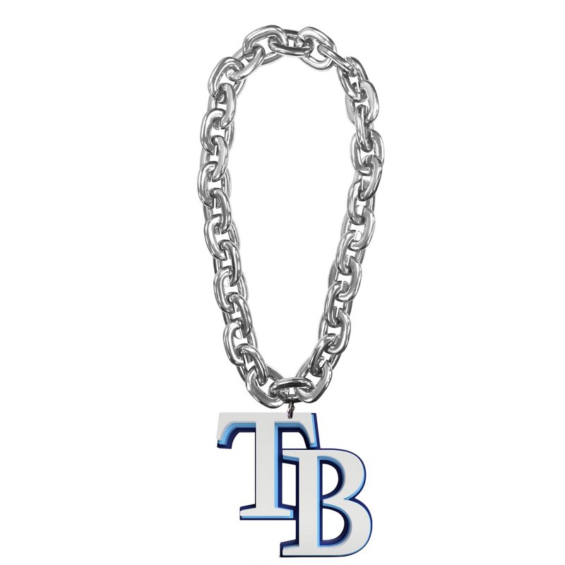 Tampa Bay Rays Team… - image