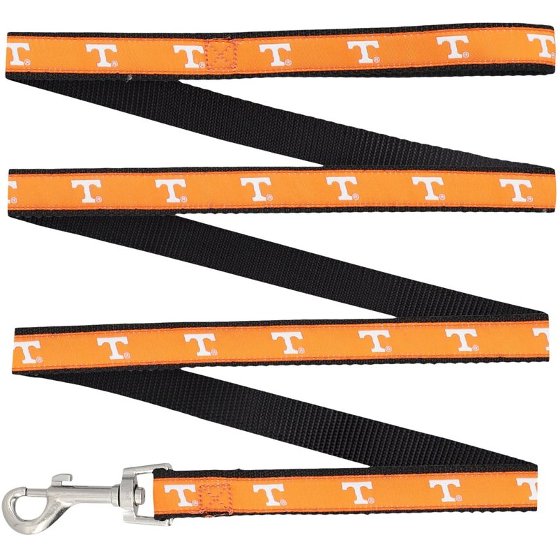 Tennessee Volunteer… - image