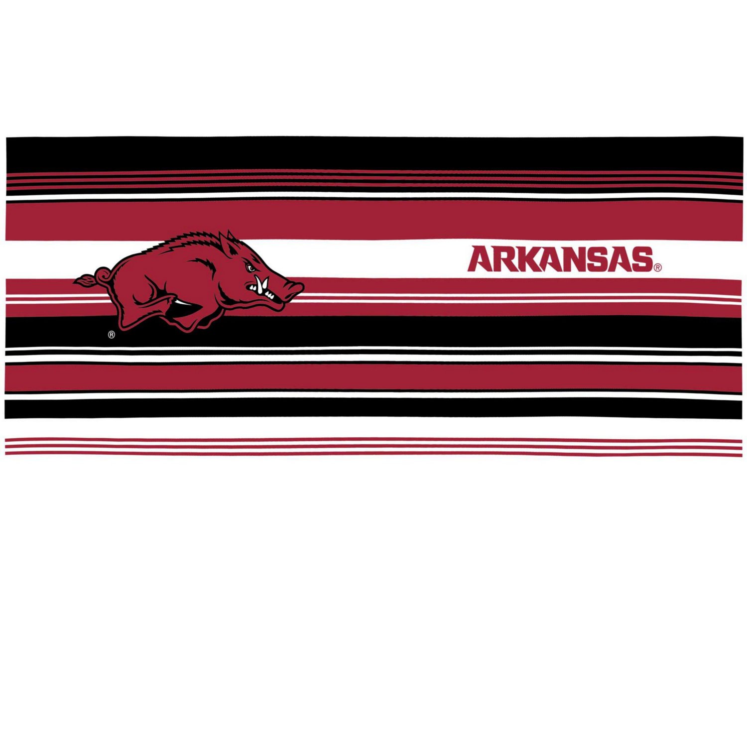 Tervis Arkansas Razorbacks 16oz Hype Stripes Classic Tumbler - view number 2