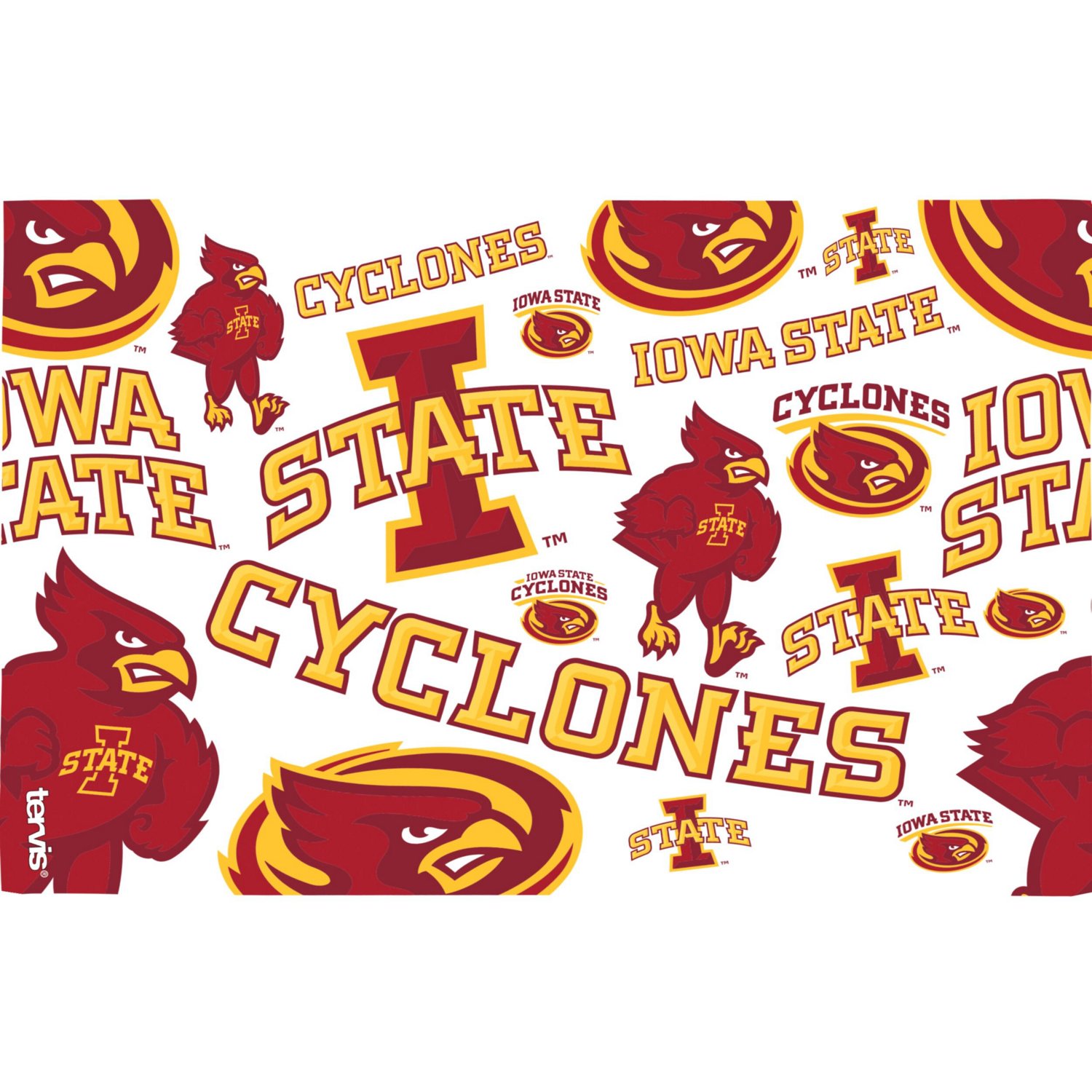 Tervis Iowa State Cyclones 2-Pack 16oz Competitor  Emblem Tumbler Set - view number 3