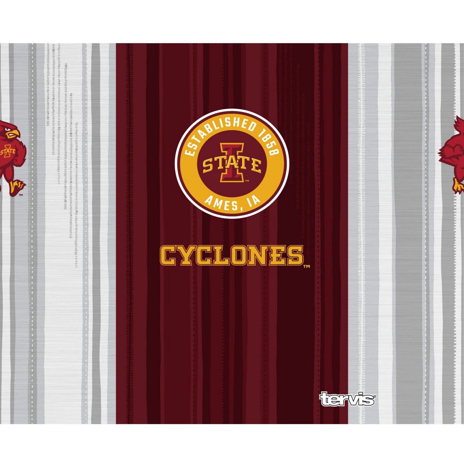 Tervis Iowa State Cyclones 40oz All In Wide Mouth Water Bottle - view number 2
