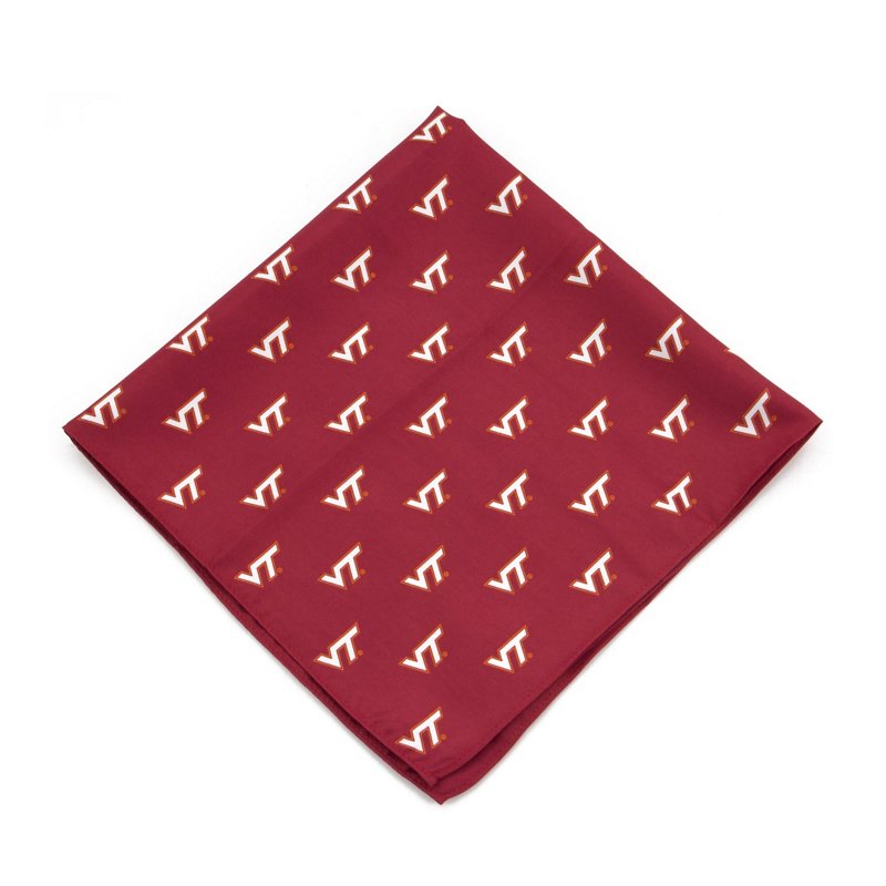 Virginia Tech Hokie… - image