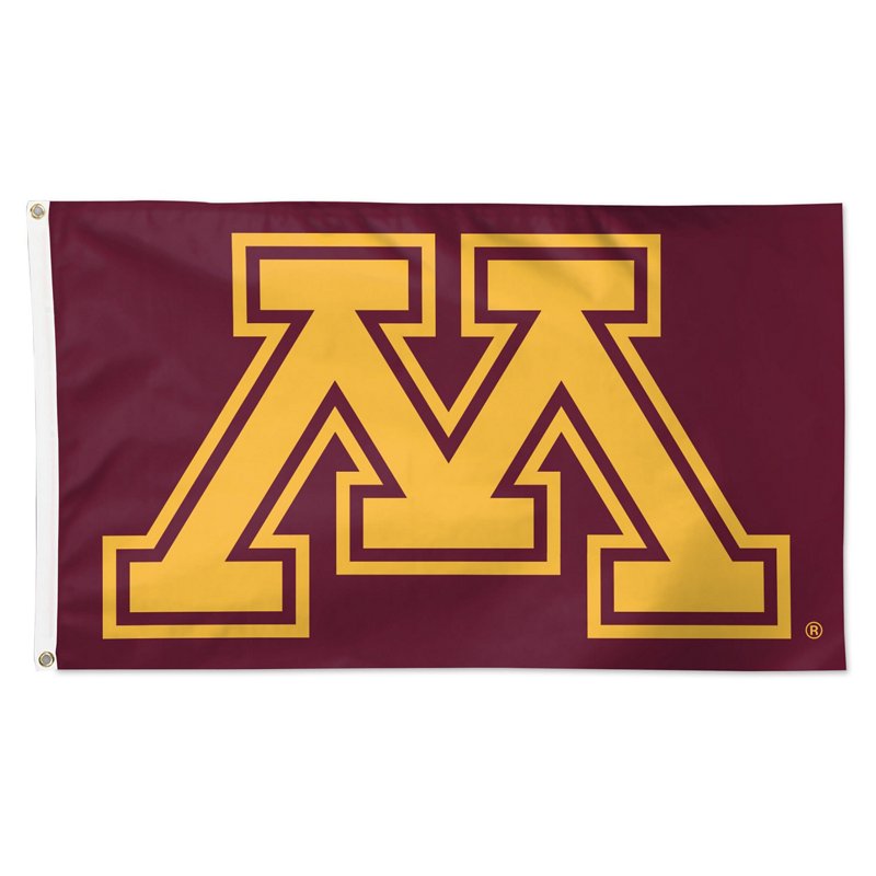 Wincraft Minnesota … - image