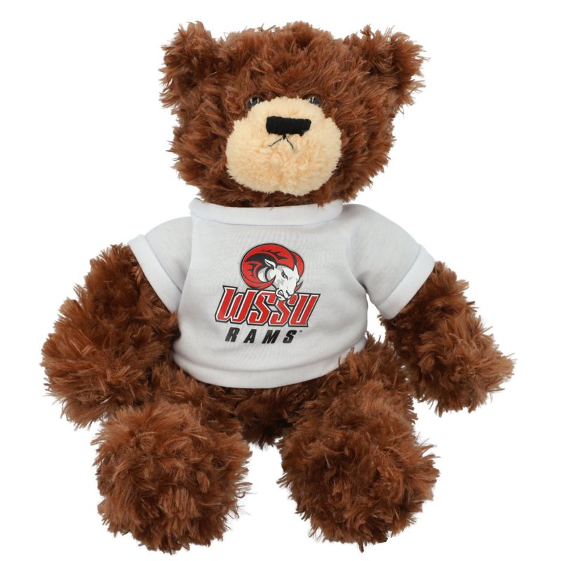 Winston-Salem State… - image