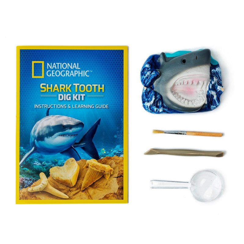 National Geographic Shark Tooth Dig Kit Khaki - Outdoor Games at Academy Sports