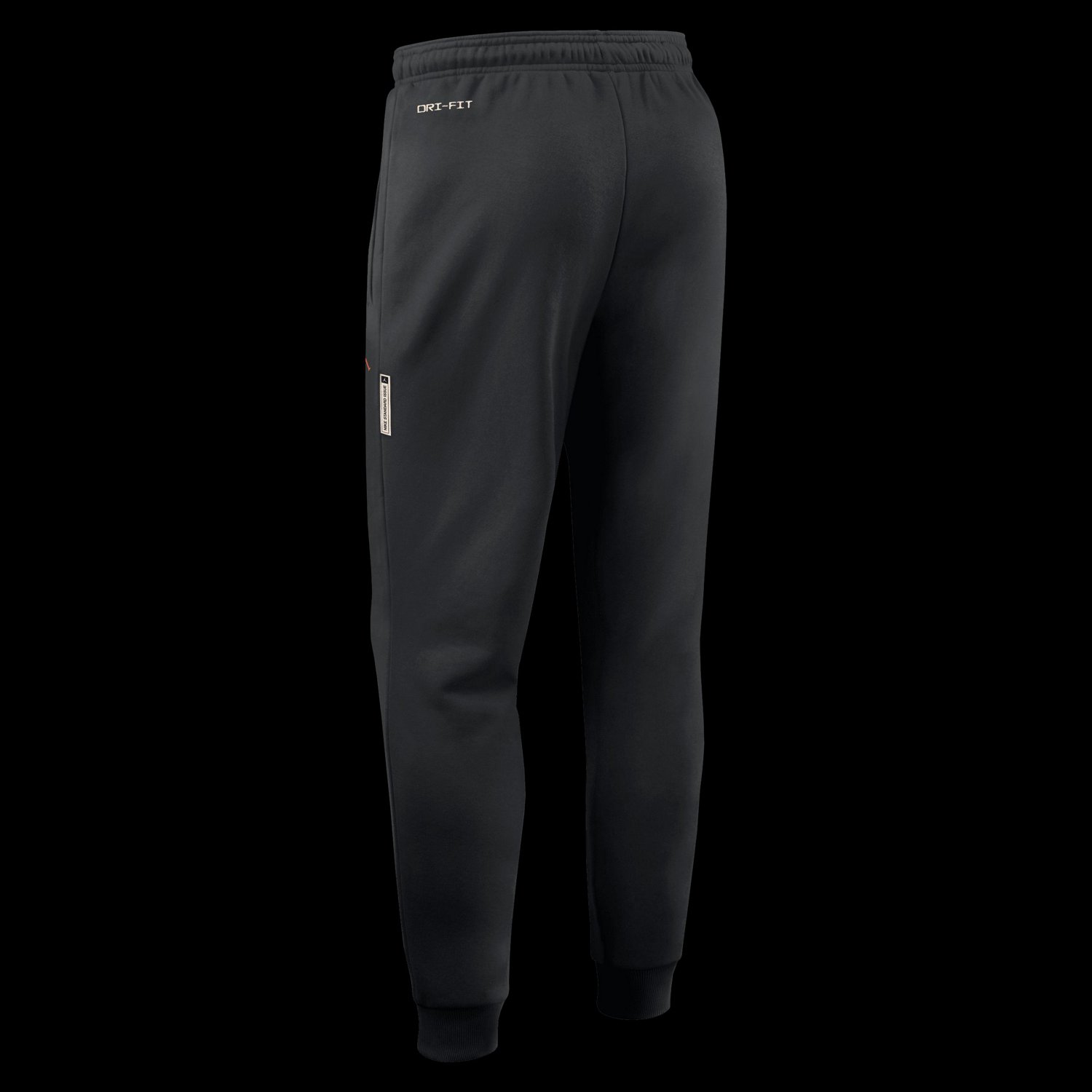 Jordan Brand Florida Gators 2026 Sideline Standard Issue Dri-FIT Taper Pants - view number 3