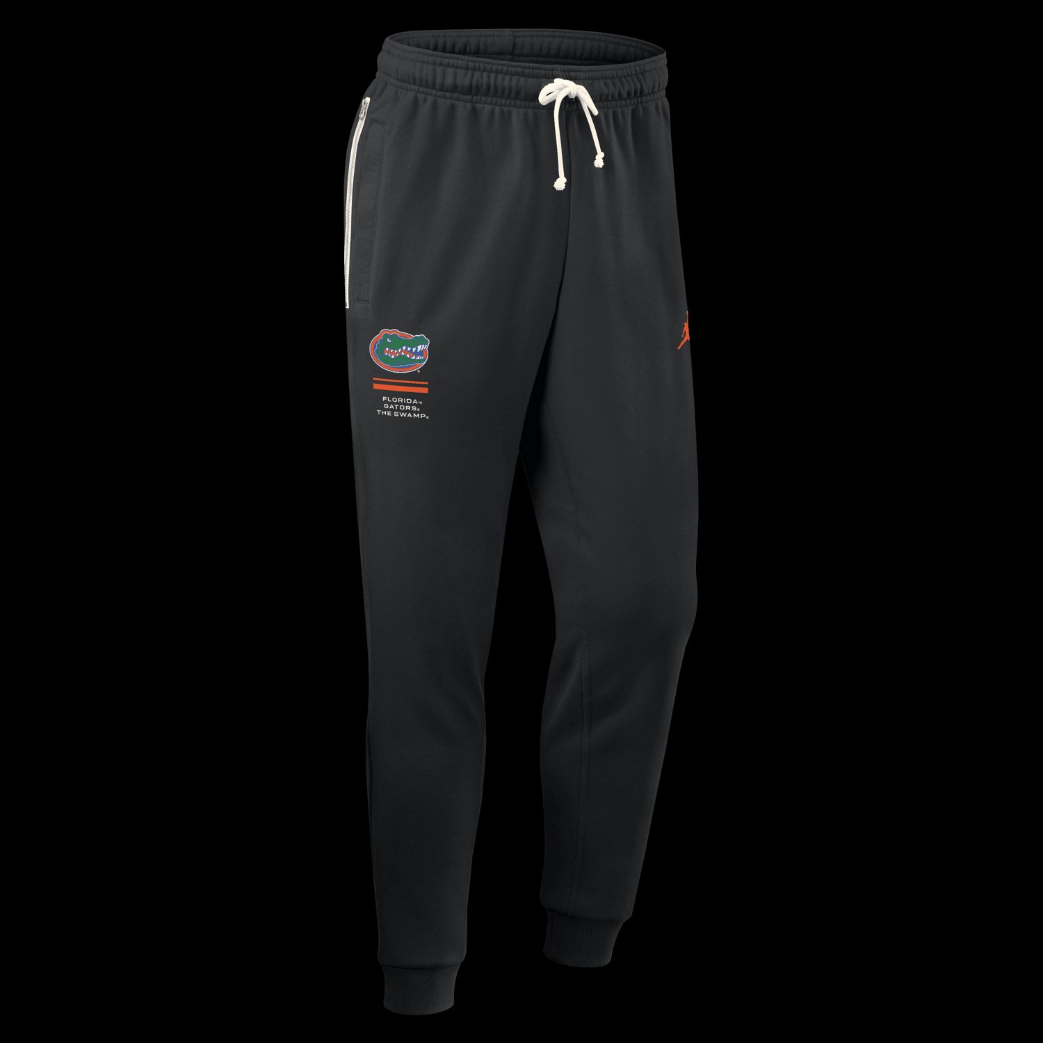 Jordan Brand Florida Gators 2026 Sideline Standard Issue Dri-FIT Taper Pants - view number 2