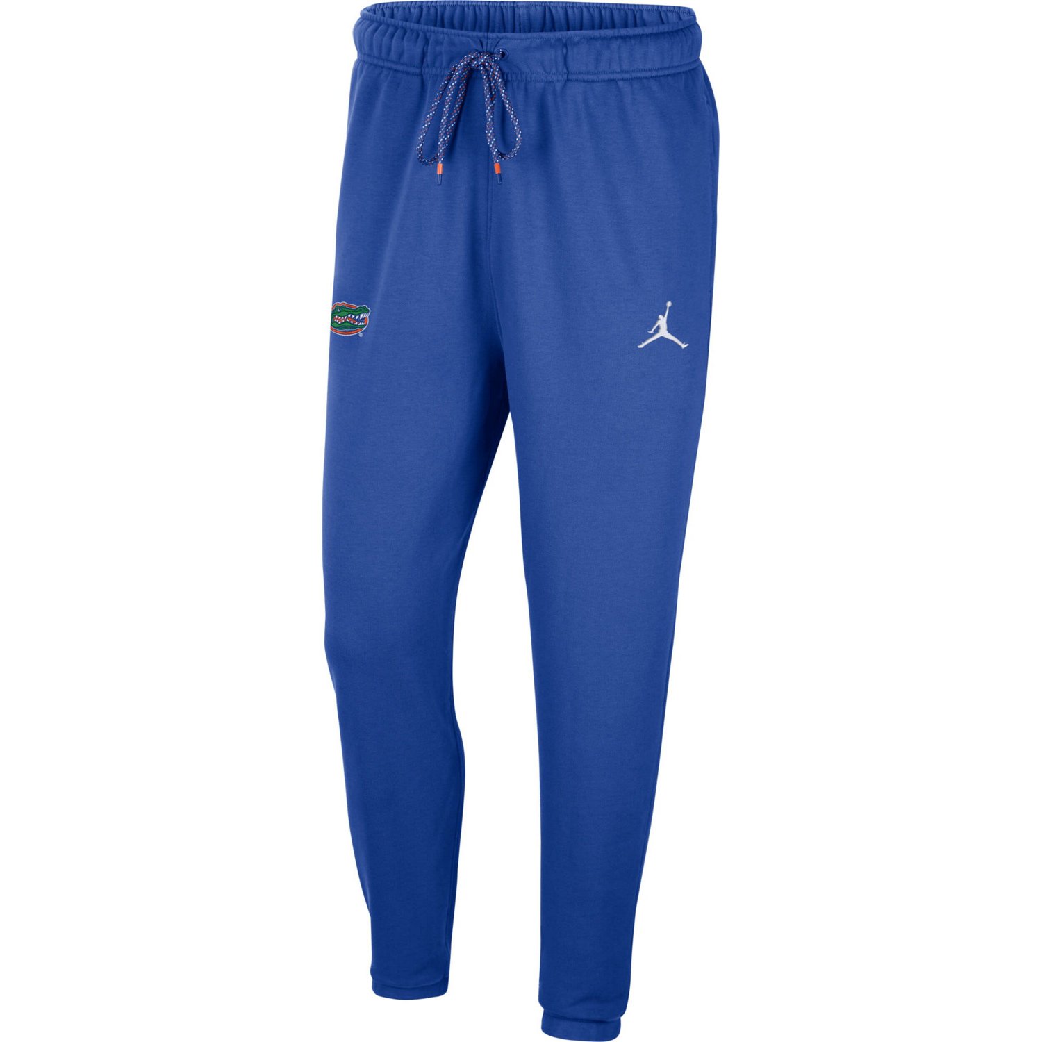 Jordan Brand Florida Gators Logo Travel Fleece Pants                                                                             - view number 2