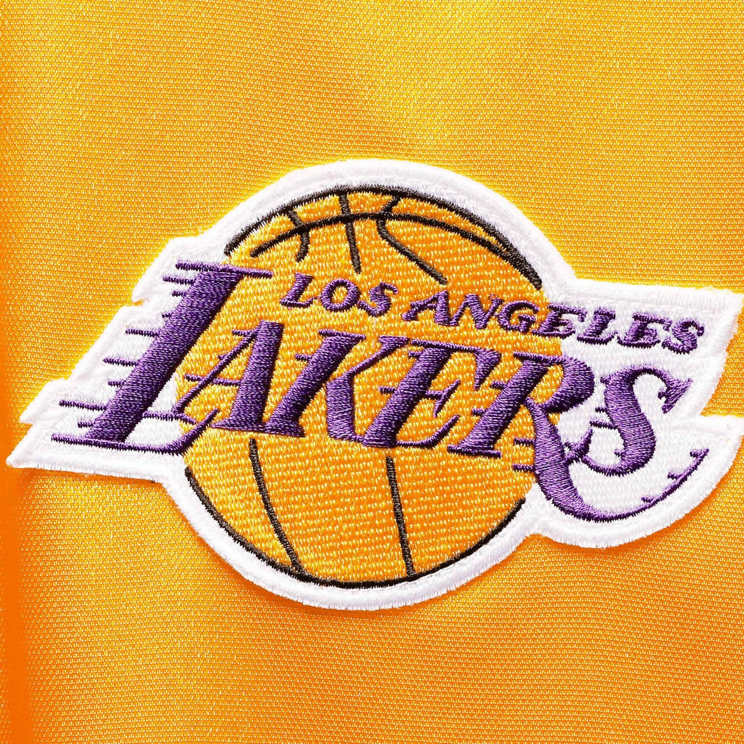 Mitchell  Ness Purple Los Angeles Lakers Hardwood Classics Big Tall On-Court Shooting V-Neck Shirt