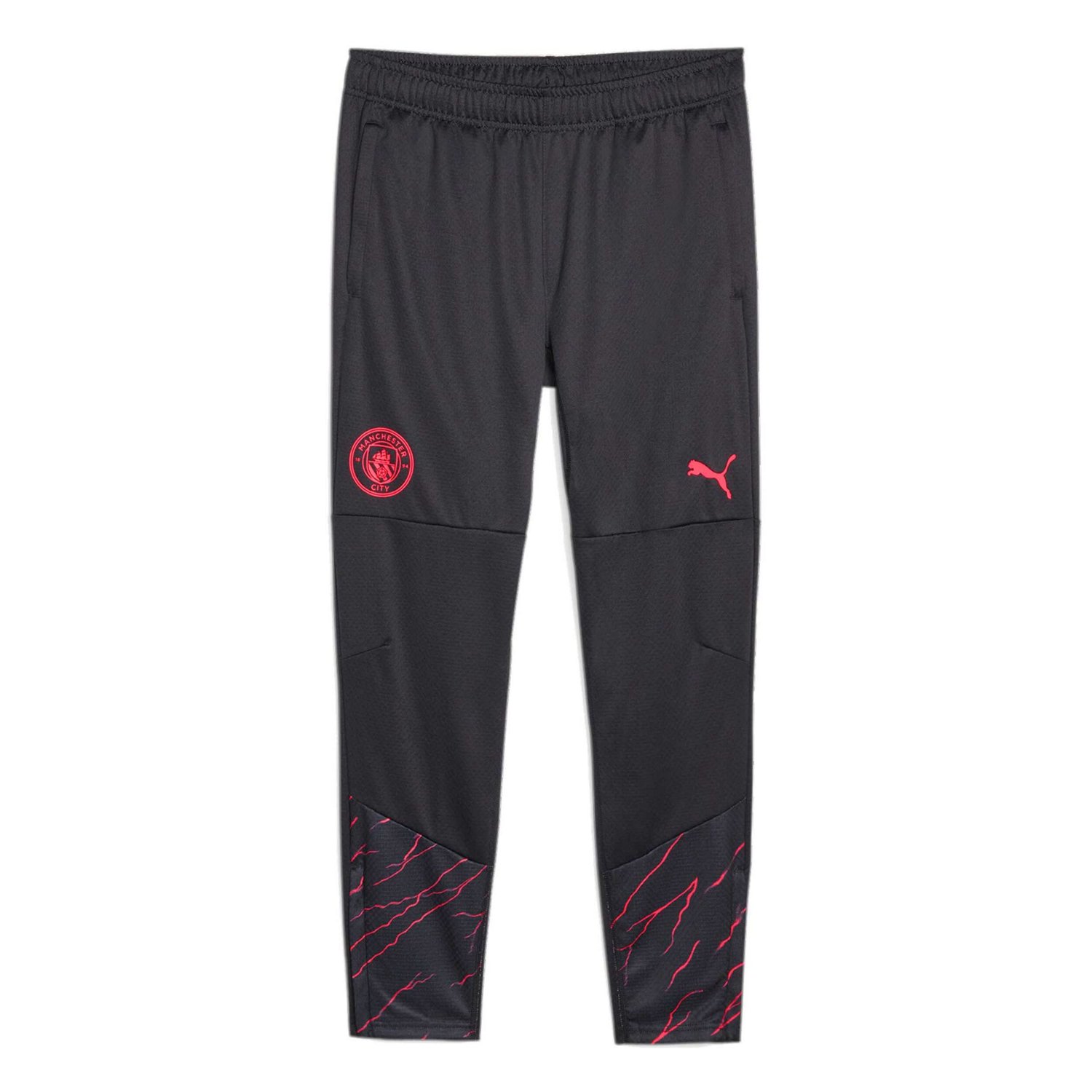 Puma Manchester City 2023 24 Training Pants - view number 2