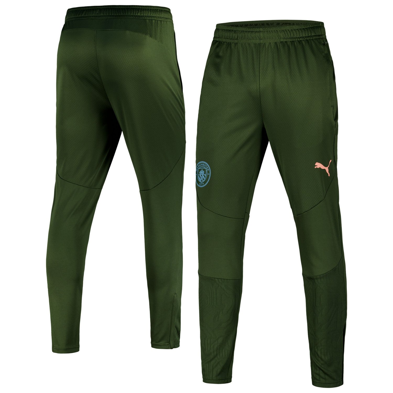 Puma Sky Forest Manchester City 2024 25 dryCELL Training Pants