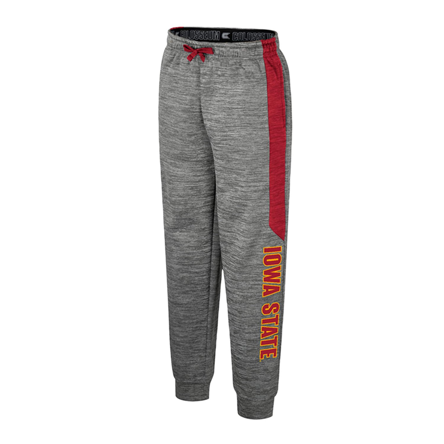 Youth Colosseum Iowa State Cyclones Fleece Pants                                                                                 - view number 2