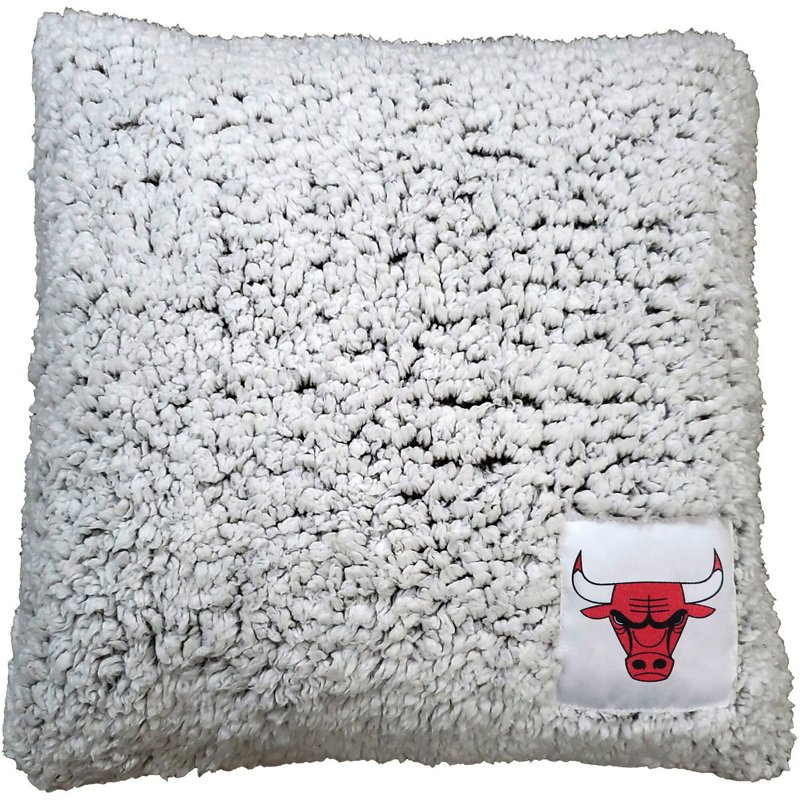 Chicago Bulls 16'' … - image