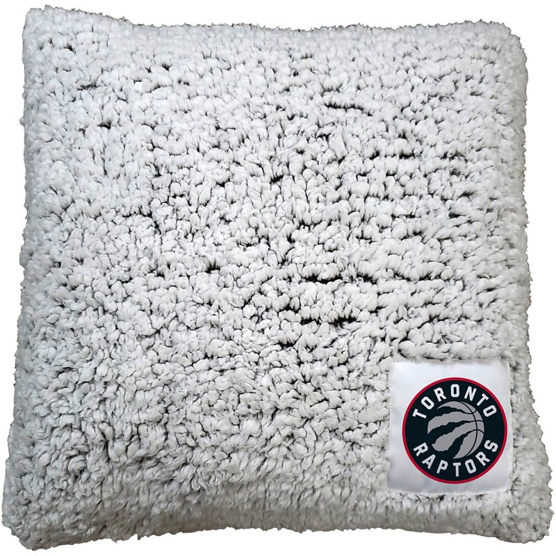 Toronto Raptors 16'… - image
