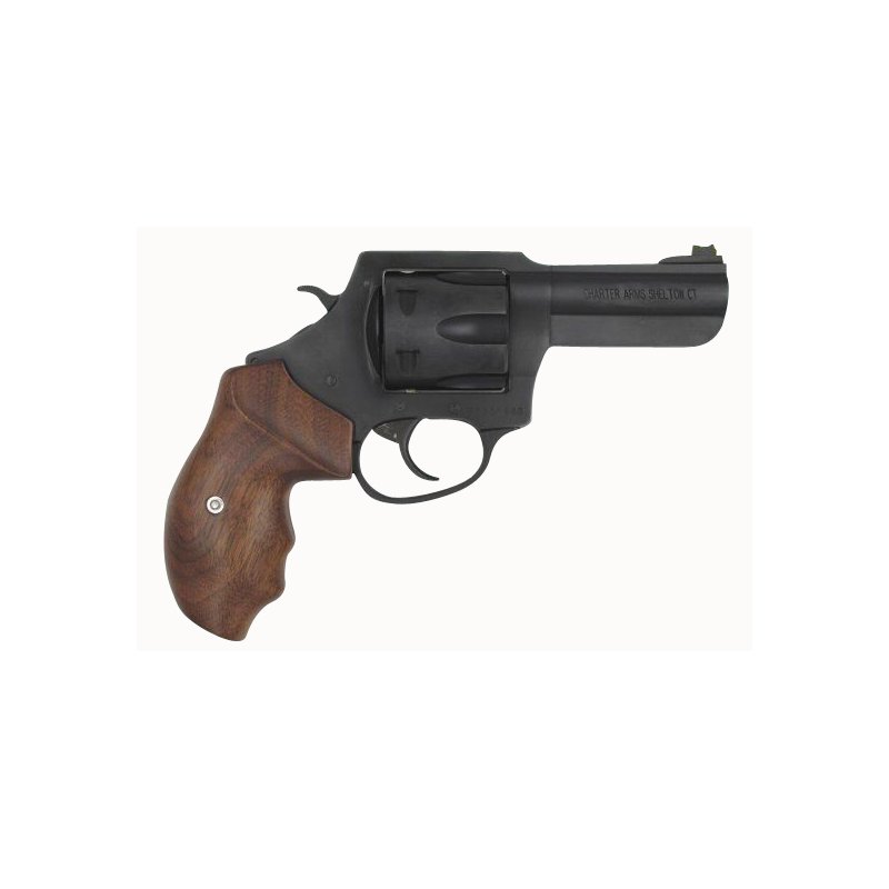Charter Arms The Pr… - image