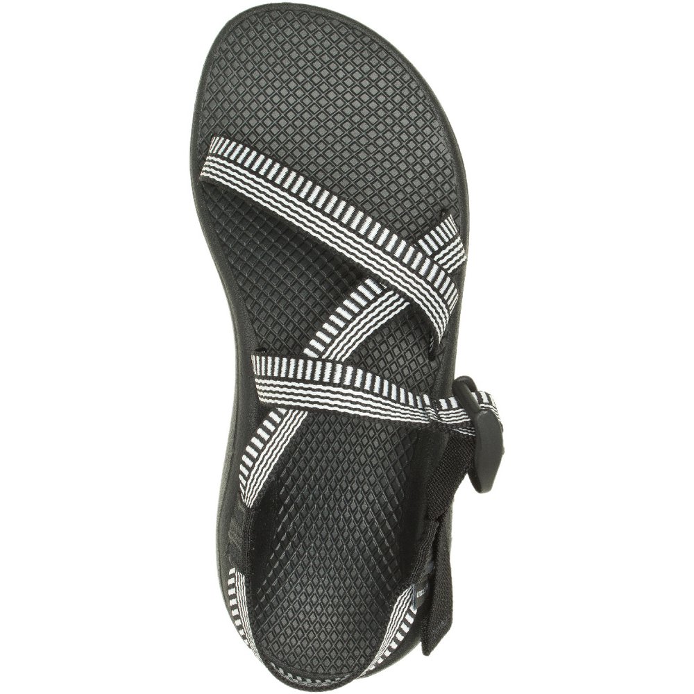 Chaco Women s Z Cloud Sandal Free Shipping at Academy