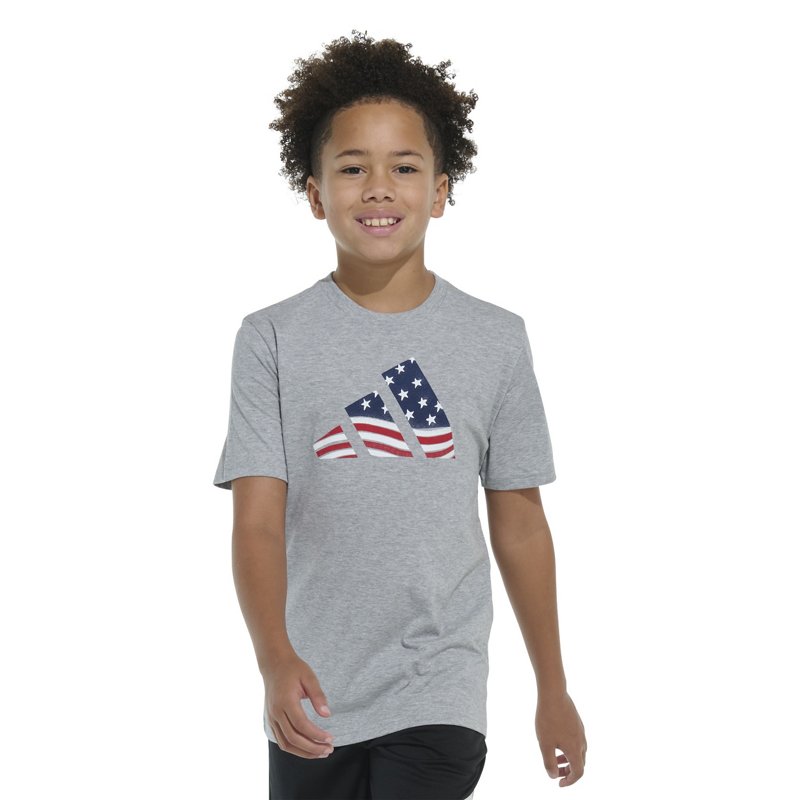 Adidas Boys' Usa Fl… - image