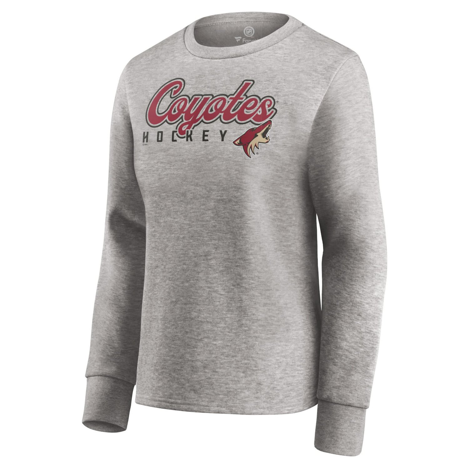 Fanatics Branded Heathered Gray Arizona Coyotes Fan Favorite Script Pullover Sweatshirt                                          - view number 2
