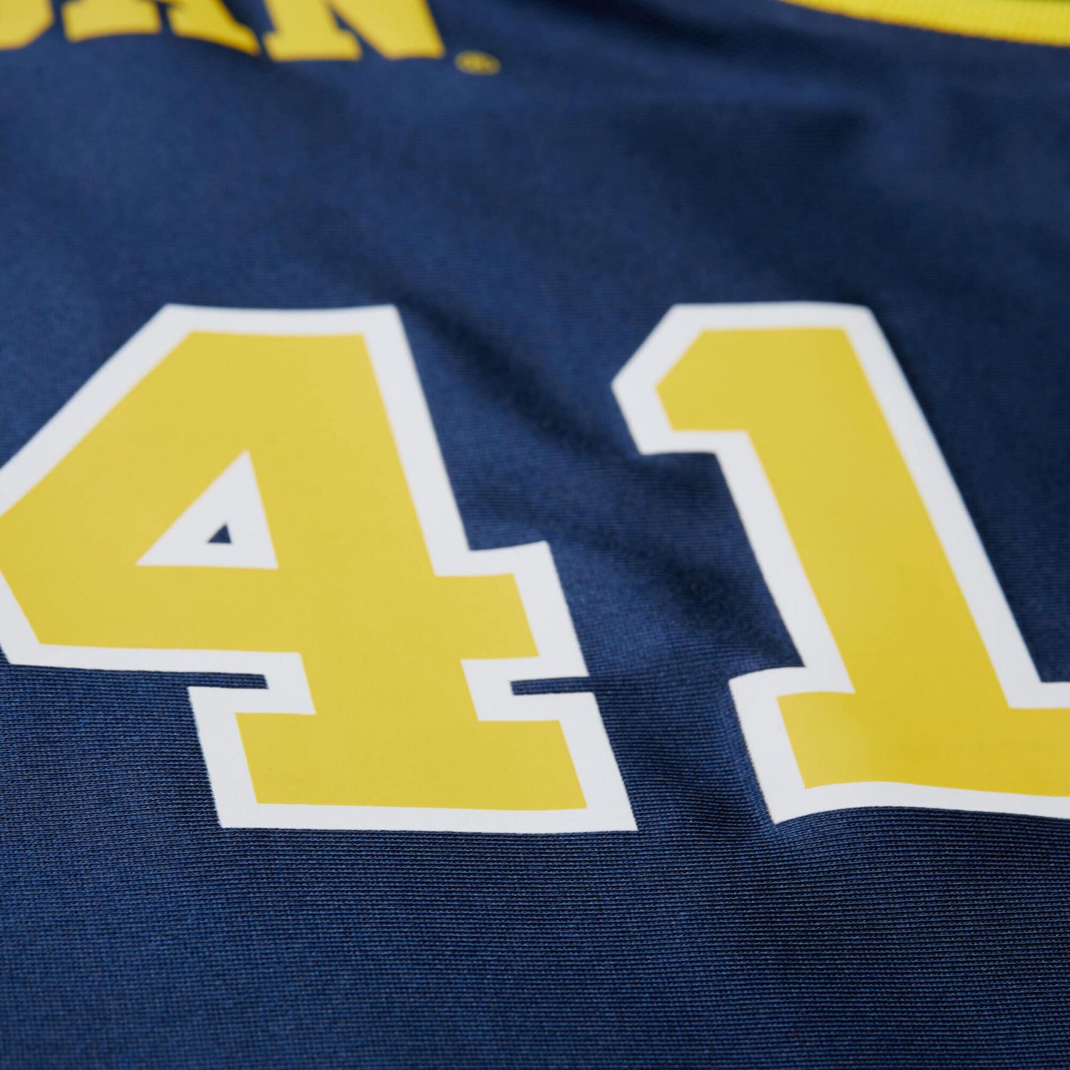 Mitchell  Ness Glen Rice Michigan Wolverines 1988 89 Authentic Jersey - view number 4