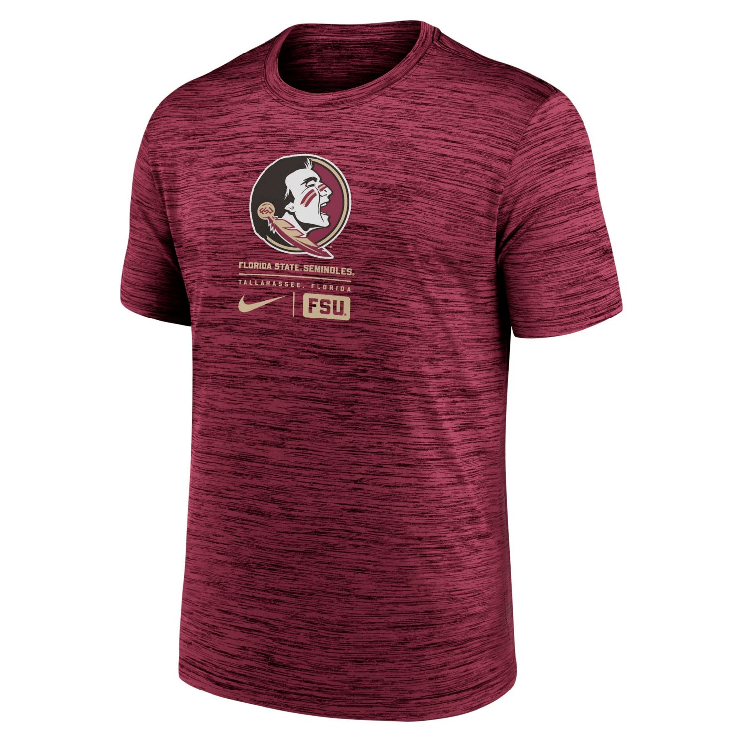 Nike Florida State Seminoles Campus Center Block Velocity Performance T-Shirt                                                    - view number 2