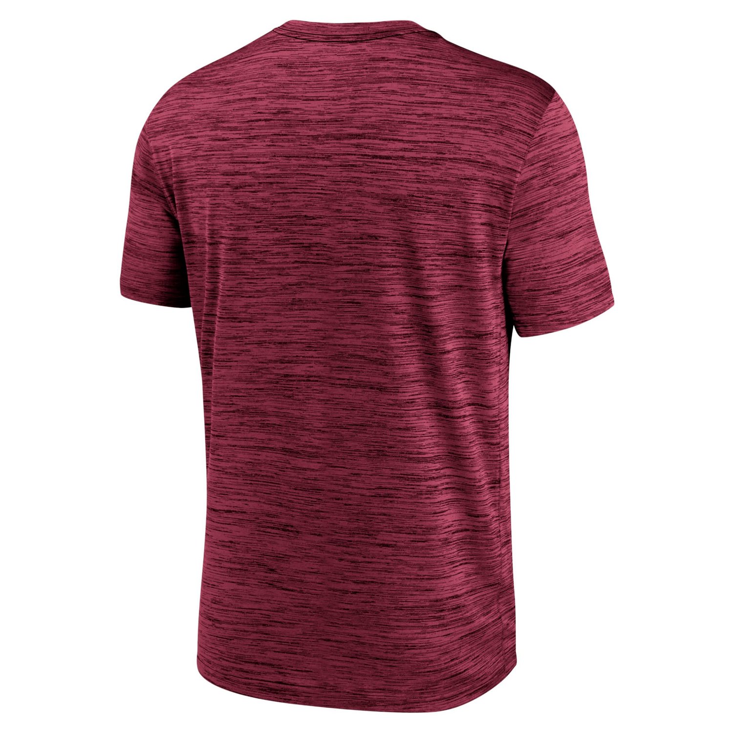 Nike Florida State Seminoles Campus Center Block Velocity Performance T-Shirt                                                    - view number 3