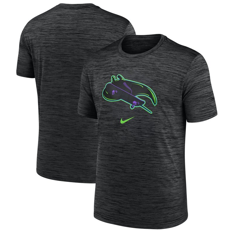 Nike Tampa Bay Rays… - image
