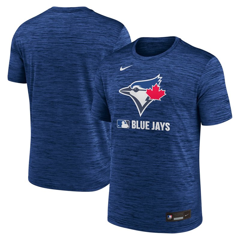 Nike Toronto Blue J… - image
