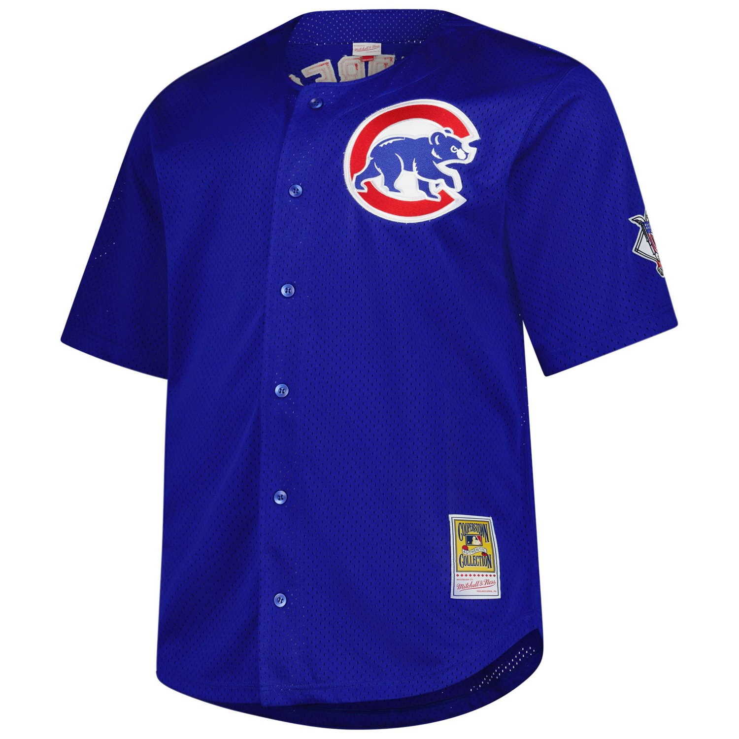 Profile Ryne Sandberg Chicago Cubs Big  Tall Cooperstown Collection Baseball Jersey - view number 2