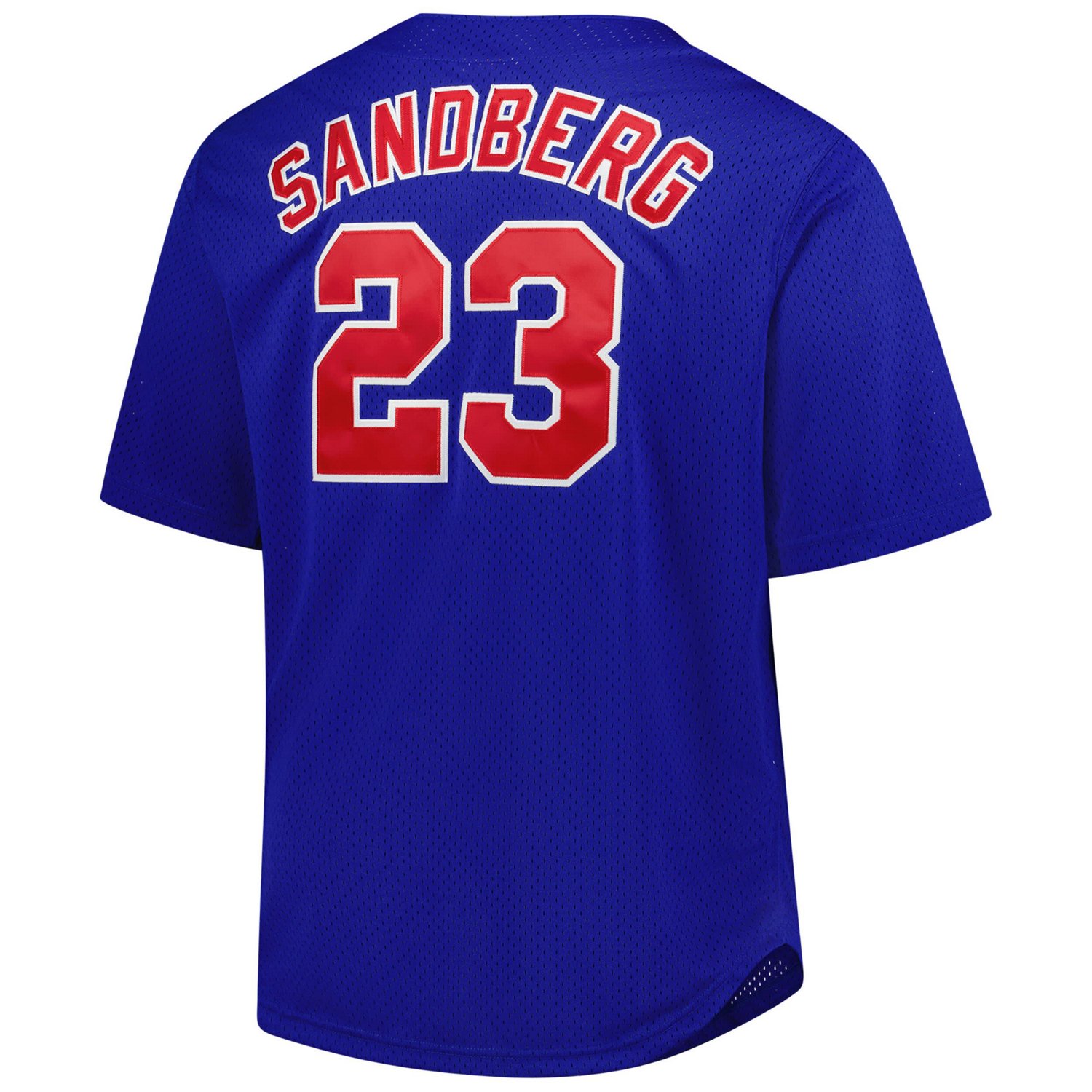 Profile Ryne Sandberg Chicago Cubs Big  Tall Cooperstown Collection Baseball Jersey - view number 3