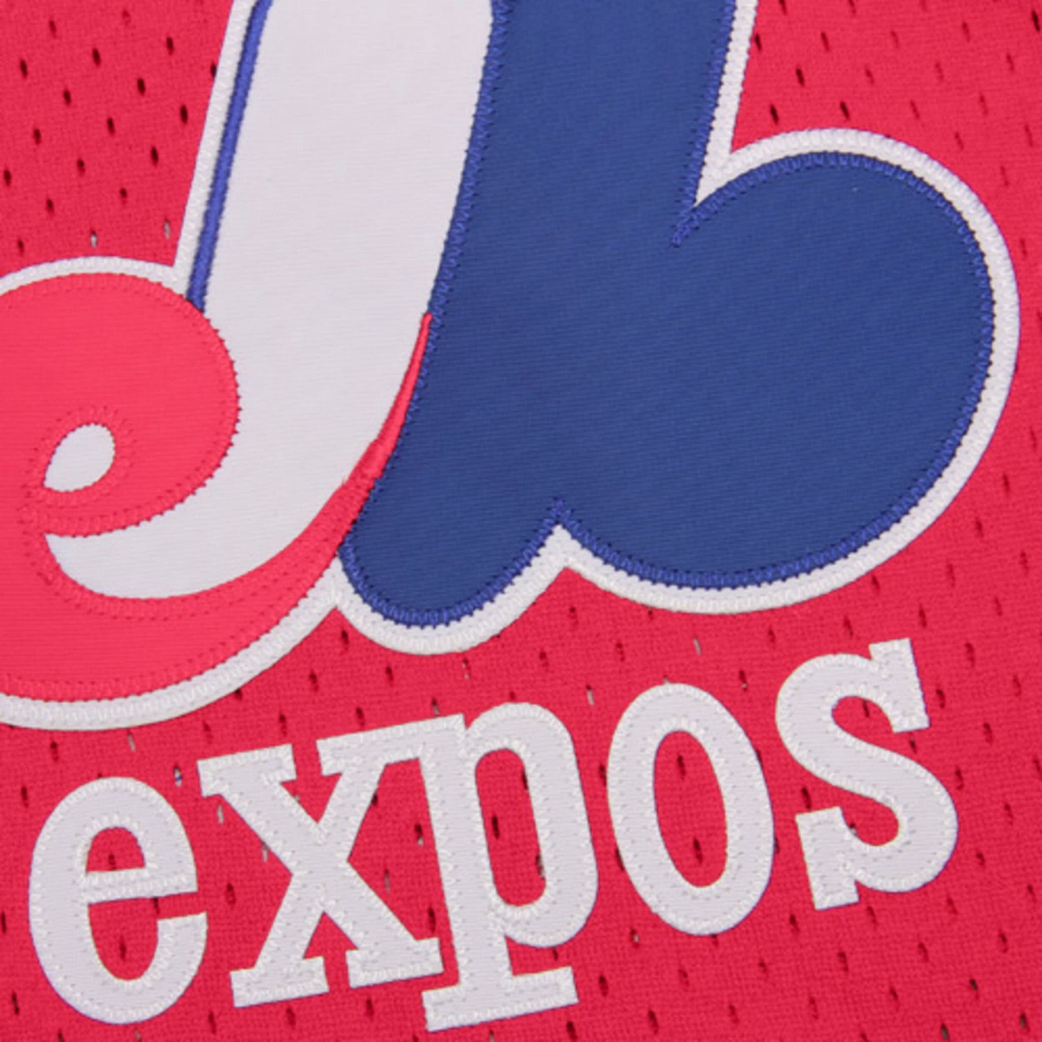 Tim Raines Montreal Expos Mitchell  Ness Batting Practice Jersey - - view number 4
